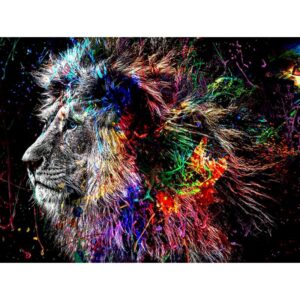Lions Paint By Numbers On Canvas With Frame